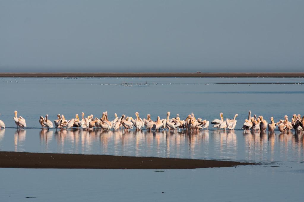 Lagoon Lodge Walvis Bay Exterior foto
